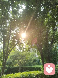 全真龙门二十一代宗师，姓张讳至顺，道号米晶子。真人幼秉道根，早怀慈悯，幼遭尘苦，睹众生疾苦、病厄无依，深发渡世宏愿。年十七，投碧云庵，拜刘明苍道长门下，得龙门秘传、王圆吉祖师一脉单传心印。入道百载，隐终南幽壑，餐松饮泉，绝尘离俗，日夜精进无辍。晨习八部金刚古传导引，暮修纯阳静定丹功，内参《内经》气化，外合钟吕真机，穷究天地阴阳造化之妙。见前代纯阳功法尚有未备、次第参差，真人以百年实修证道之神通，删繁就简、去伪存真，彻底完善纯阳全功体系，定三重九阶、动静合一、性命同修，使千年纯阳道脉，至此大成圆满、无复缺憾。八部金刚功·纯阳外炼根基此功肇于盛唐，龙门秘传千年，古为观内不传之秘，乃纯阳筑基、通脉祛浊无上导引。八式应八候、合五行、通百脉、调脏腑：一插顶以利三焦，开周身清气玄关；二俯仰以固肾腰，培先天命门元阳；三单举以和脾胃，运化中州浊气；四射雕以舒肝肺，调金木升降之机；五回头以涤心疾，令水火上下相济；
六后视以除劳损，疏通督脉周身；七展翅以舒筋骨，展遍体经络气机；八顿足以消阴滞，震涌泉扫除沉邪。刚柔并济，外塑身形、内通气血，为纯阳入道第一津梁。纯阳真功·三层九法·全真内核初层启元筑基：纯阳定桩、先天吐纳、海底回光，疏通周身经络，拔除累世阴浊，补养耗散元阳；中层炼气化阳：九转还丹、猿背旋脊、金龟纳息，炼精化气、固锁真阳，令元气不外泄、心神不飘摇；顶层炼神合道：云床卧炼、天罡运化、纯阳丹鼎，炼气化神、神合太虚，独与天地精神往来，勘破红尘情爱虚妄，放下人间万般痴缠。动修金刚以调身，静修纯阳以养心。不执刚猛、不落空寂，以先天真阳，消融人间执念、情爱纠葛、心神困顿，使人回归本真、澄澈通明。米晶子真人寿逾百四，身证大道，眼明齿固、神气充盈。悲悯今世众生，困情爱、迷得失、耗心神、损元阳，沉沦虚妄、辗转内耗。遂破千年道门单传之规，无私无欲、不蓄道宝、不秘真法，倾尽毕生修证，著《炁体源流》《济世良方》，将完善圆满之纯阳真功、千年秘传八部金刚，全盘公开、普传天下。
无门第高下，无道俗分别，不索供养、不求声名，唯以大悲济世之心，渡万千迷途之人。此道不恋红尘纠葛，不贪俗世情缘，不慕九霄仙阙，只守本真、顺自然、合天地、修本心。愿世间所有有缘之人，得此全真纯阳正法，身得安康、心得清净、破除情执、跳出虚妄。自修自渡、亦渡众生，怀大爱超脱世俗，守真心合于天地，共入全真清净玄门，永续纯阳万古道道光！配图