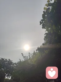《全真纯阳脉济世赋》
 粤若全真肇启，重阳立宗，钟吕垂纯阳丹秘，丘祖弘龙门法筵。以性命双修为印，以先天本真为宗，千载道薪不息，万古玄光长明。纯阳圣功，仙脉所承。近代李静子祖师，悯世人身元耗散、情丝缠缚、灵台淤迷，撷龙门内炼真诀，始创筑基培元之法，扶正气，涤阴浊，安五脏，固命根。后明月子继绍宗风，勘校丹章，补阴阳升降之阙，通内外运化之机，功法初立纲维，精微次第犹未圆融。迨龙门二十一代宗师，张氏讳至顺，道号米晶子。真人幼植慈根，早怀渡世宏愿，年十七投碧云庵，拜刘明苍道长，得王圆吉一脉单传心印。隐终南灵壑七十余霜，餐松汲泉，远绝尘嚣。朝习八部金刚导引，疏通百骸经络；暮修纯阳静定丹功，涵养先天元神。参《内经》气化之奥，融钟吕龙虎之真，洞彻天地阴阳造化。慨前贤功法参差未备，遂凭百年实证之功，删繁抉奥，厘定三阶九法，合外导筋骨、内养元神，一动一静互为表里，纯阳一脉至此大成无疵。夫八部金刚，肇自盛唐，龙门千年秘传，为纯阳筑基津梁。八式合五行三焦，通八脉五脏：举顶以开清阳玄关，俯仰以固肾府元根，单举以和中州运化，开弓以疏金木郁机，回眸以交心肾水火，后视以通督脉劳损，展翅以舒周身筋骸，顿足以散下焦阴浊。刚柔相济，涤沉寒、消淤滞、活气血、健身形。纯阳内修三品，乃全真双修内核。初层启元筑基：桩功、吐纳、回光，疏通经脉，祛阴补阳，复先天本气；中层炼气化阳：还丹、旋脊、纳息，炼精化气，锁固真阳不泄；顶层炼神合道：卧炼、天罡、丹鼎，炼气化神，神游太虚，独与天地精神往来，勘破红尘情爱虚妄，放下俗世执念痴缠。动以调形，静以养心，不执刚猛，不落空寂，以先天纯阳真炁，消融万般内耗烦忧。真人寿逾百龄，神清体健，实证大道之功。哀今世人沉沦情劫、困于内耗、迷于浮名，执幻相为真常，耗元阳于贪痴。古之丹法久锁琳宫，秘不示俗，非祖师济世本心。真人遂破千年单传之禁，倾尽毕生修证，辑《炁体源流》《济世良方》，将圆满纯阳功、金刚导引正法，普传四海。无道俗贵贱之分，不索供养，不藏玄珍，怀无量大悲，接引世间迷惘。此道不恋红尘繁华，不执儿女情长，不慕云端仙阙，唯守本真，顺合自然。愿天下有缘之士，习纯阳以安身，修静定以渡心，破虚妄，离缠缚，于草木清风自愈伤痕，与天地心神相融。自修清净大道，广怀大爱渡人，永续全真龙门纯阳法脉，昭明万古玄光。配图