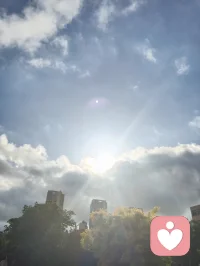 《全真纯阳脉济世赋》
 粤若全真肇启，重阳立宗，钟吕垂纯阳丹秘，丘祖弘龙门法筵。以性命双修为印，以先天本真为宗，千载道薪不息，万古玄光长明。纯阳圣功，仙脉所承。近代李静子祖师，悯世人身元耗散、情丝缠缚、灵台淤迷，撷龙门内炼真诀，始创筑基培元之法，扶正气，涤阴浊，安五脏，固命根。后明月子继绍宗风，勘校丹章，补阴阳升降之阙，通内外运化之机，功法初立纲维，精微次第犹未圆融。迨龙门二十一代宗师，张氏讳至顺，道号米晶子。真人幼植慈根，早怀渡世宏愿，年十七投碧云庵，拜刘明苍道长，得王圆吉一脉单传心印。隐终南灵壑七十余霜，餐松汲泉，远绝尘嚣。朝习八部金刚导引，疏通百骸经络；暮修纯阳静定丹功，涵养先天元神。参《内经》气化之奥，融钟吕龙虎之真，洞彻天地阴阳造化。慨前贤功法参差未备，遂凭百年实证之功，删繁抉奥，厘定三阶九法，合外导筋骨、内养元神，一动一静互为表里，纯阳一脉至此大成无疵。夫八部金刚，肇自盛唐，龙门千年秘传，为纯阳筑基津梁。八式合五行三焦，通八脉五脏：举顶以开清阳玄关，俯仰以固肾府元根，单举以和中州运化，开弓以疏金木郁机，回眸以交心肾水火，后视以通督脉劳损，展翅以舒周身筋骸，顿足以散下焦阴浊。刚柔相济，涤沉寒、消淤滞、活气血、健身形。纯阳内修三品，乃全真双修内核。初层启元筑基：桩功、吐纳、回光，疏通经脉，祛阴补阳，复先天本气；中层炼气化阳：还丹、旋脊、纳息，炼精化气，锁固真阳不泄；顶层炼神合道：卧炼、天罡、丹鼎，炼气化神，神游太虚，独与天地精神往来，勘破红尘情爱虚妄，放下俗世执念痴缠。动以调形，静以养心，不执刚猛，不落空寂，以先天纯阳真炁，消融万般内耗烦忧。真人寿逾百龄，神清体健，实证大道之功。哀今世人沉沦情劫、困于内耗、迷于浮名，执幻相为真常，耗元阳于贪痴。古之丹法久锁琳宫，秘不示俗，非祖师济世本心。真人遂破千年单传之禁，倾尽毕生修证，辑《炁体源流》《济世良方》，将圆满纯阳功、金刚导引正法，普传四海。无道俗贵贱之分，不索供养，不藏玄珍，怀无量大悲，接引世间迷惘。此道不恋红尘繁华，不执儿女情长，不慕云端仙阙，唯守本真，顺合自然。愿天下有缘之士，习纯阳以安身，修静定以渡心，破虚妄，离缠缚，于草木清风自愈伤痕，与天地心神相融。自修清净大道，广怀大爱渡人，永续全真龙门纯阳法脉，昭明万古玄光。配图