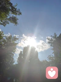 《全真纯阳脉济世赋》
 粤若全真肇启，重阳立宗，钟吕垂纯阳丹秘，丘祖弘龙门法筵。以性命双修为印，以先天本真为宗，千载道薪不息，万古玄光长明。纯阳圣功，仙脉所承。近代李静子祖师，悯世人身元耗散、情丝缠缚、灵台淤迷，撷龙门内炼真诀，始创筑基培元之法，扶正气，涤阴浊，安五脏，固命根。后明月子继绍宗风，勘校丹章，补阴阳升降之阙，通内外运化之机，功法初立纲维，精微次第犹未圆融。迨龙门二十一代宗师，张氏讳至顺，道号米晶子。真人幼植慈根，早怀渡世宏愿，年十七投碧云庵，拜刘明苍道长，得王圆吉一脉单传心印。隐终南灵壑七十余霜，餐松汲泉，远绝尘嚣。朝习八部金刚导引，疏通百骸经络；暮修纯阳静定丹功，涵养先天元神。参《内经》气化之奥，融钟吕龙虎之真，洞彻天地阴阳造化。慨前贤功法参差未备，遂凭百年实证之功，删繁抉奥，厘定三阶九法，合外导筋骨、内养元神，一动一静互为表里，纯阳一脉至此大成无疵。夫八部金刚，肇自盛唐，龙门千年秘传，为纯阳筑基津梁。八式合五行三焦，通八脉五脏：举顶以开清阳玄关，俯仰以固肾府元根，单举以和中州运化，开弓以疏金木郁机，回眸以交心肾水火，后视以通督脉劳损，展翅以舒周身筋骸，顿足以散下焦阴浊。刚柔相济，涤沉寒、消淤滞、活气血、健身形。纯阳内修三品，乃全真双修内核。初层启元筑基：桩功、吐纳、回光，疏通经脉，祛阴补阳，复先天本气；中层炼气化阳：还丹、旋脊、纳息，炼精化气，锁固真阳不泄；顶层炼神合道：卧炼、天罡、丹鼎，炼气化神，神游太虚，独与天地精神往来，勘破红尘情爱虚妄，放下俗世执念痴缠。动以调形，静以养心，不执刚猛，不落空寂，以先天纯阳真炁，消融万般内耗烦忧。真人寿逾百龄，神清体健，实证大道之功。哀今世人沉沦情劫、困于内耗、迷于浮名，执幻相为真常，耗元阳于贪痴。古之丹法久锁琳宫，秘不示俗，非祖师济世本心。真人遂破千年单传之禁，倾尽毕生修证，辑《炁体源流》《济世良方》，将圆满纯阳功、金刚导引正法，普传四海。无道俗贵贱之分，不索供养，不藏玄珍，怀无量大悲，接引世间迷惘。此道不恋红尘繁华，不执儿女情长，不慕云端仙阙，唯守本真，顺合自然。愿天下有缘之士，习纯阳以安身，修静定以渡心，破虚妄，离缠缚，于草木清风自愈伤痕，与天地心神相融。自修清净大道，广怀大爱渡人，永续全真龙门纯阳法脉，昭明万古玄光。配图