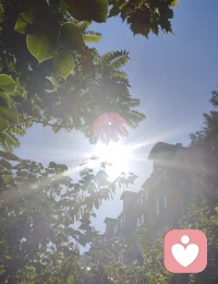 宇凡原创歌词《见花如面》
 
主歌1
 
大洋隔开两岸晨光
你看歌剧院浪卷风长
我院中玫瑰静静绽放
一花代我赴远方相望
异国街道人来人往
偶尔心事独自慢慢藏
不必畏惧独处时光
温柔先赠予自己胸膛
 
副歌
 
见花如面，山海不挡牵挂
身在天涯，心有故土云霞
做生命歌者，轻唱人间年华
善待孤独，好好爱自己啊
见花如面，风月共话桑麻
万里相隔，共守心中清茶
怀一腔家国，不惧岁月风沙
花开两处，皆是温柔回答
 
主歌2
 
皇家公园金菊向阳
碧海蓝天衬少年清旷
千里之外我守一方
倾听抚平你眼底风霜
漂泊难免几分惆怅
故土念想藏在旧心房
孤独本是修行道场
自爱方能渡世事无常
 
尾声
 
花开两岸，见花如面
心有家国，自暖流年配图