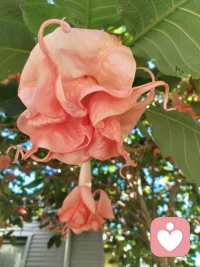 自能成羽翼，何必仰云梯！诸君共勉！如如不动！
一花一世界，一叶一菩提！你就是你的世界！配图