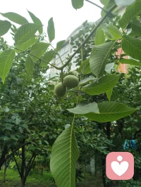 生命强者的痛苦只需要时间稀释！配图