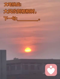 大风吹倒梧桐树，落日温霞慰孤途。
世间难寻同频客，给力平台容坦露。配图