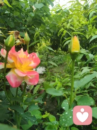 空手而来，空手而去，你什么也带不走。
历经世间因果，
来渡今生岁月，
看遍山河烟火，
放下贪念执念，
了结尘间债缘，
人间一趟，
不过是大梦一场。配图