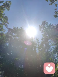 善男子、善女人，汝当知：人生赤手而来，终归空手而去，世间财情名利，无一事可随身带走。
浮沉因果，只为渡今生这一趟岁月，山河烟火皆为镜中虚影。贪念执念缚住本心，尘间债缘皆是前定，万般纠缠，到头来不过大梦一场。
境由心造，旁人偏执愚迷自有业缘，不必与之拉扯内耗。放下嗔怨，修好自心，随缘度日，便是菩萨行持。世间所有煎熬，皆是点化你通透觉醒的机缘，守住清净本心，方能渡己渡人。

南无观世音菩萨🙏

娑婆浮生，赤手来亦赤手归，万般尘物，分毫难随形骸而去。
众生辗转因果轮回，借这百年肉身渡尘世风霜，阅四海烟火悲欢。
贪嗔痴念如缚身绳，执念深，则苦海无边；放下一分，清净一分。
宿世爱恨、尘间债缘，相遇皆是前因，别离自有定数，不必苦苦纠缠。
世人总执眼前得失，困于他人言语是非，却不知心外无境，万象皆幻。
人间百年，不过南柯一梦。诸相本空，唯有本心澄澈，方得自在安然。
若遇纷争隔阂、认知殊途，不必争辩嗔恨，众生皆有各自业障与觉醒机缘，宽心包容，静待自悟便是慈悲。
常存善念，多修自心，万般磨难，皆是渡你成佛的道场。配图