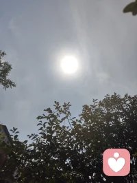 纯阳独白·无我宇凡道心（全真龙门纯阳修士宇凡无我自述）
吾乃全真龙门一脉，承米晶子圣师纯阳道统，曾居于纯阳清观，终日伴三清古像，守一卷《道德》，修一身纯阳真气。世人常问道长能否改命，可否窥破因果轮回，吾每静坐听众生倾诉悲欢，心中唯有一句：道可道，非常道；人法地，地法天，天法道，道法自然。世间祸福际遇由天定，可心中归途，从来只由自身方寸主宰。半生观尽尘间百态，见过至善之人饱受磨难，亦见过妄作之徒一时顺遂。众生困于执念，反复追问天道为何不公，执着善恶必有酬报，困在“为何偏偏是我”的怨怼里原地内耗，终日与命运争辩，殊不知命运从不会俯身回应众生的诘问。风雨坎坷是天命落定，无从选择，可心作何光景，行何种修行，全然由己。一如天降雨水，或奔入江海，或落于泥洼，或盛入破盆，落点不由水做主，可清浊自持、润泽万物，全凭本心取舍。米晶子圣师传纯阳心法，言纯阳之道不在云端缥缈，而在俗世烟火之间，道存于一粥一饭、一苦一难之中。真正全真修士，从不执于推演命数，只修渡心之法。命数可困肉身境遇，却夺不走眼底清光、胸中纯阳、挺直不折的脊梁。天地运行，反者道之动，弱者道之用，苦难从来不是天道惩戒，而是淬炼纯阳本心的道场。不必逃避世事颠簸，不必嗔恨世道偏颇，看透人间残酷，依旧守住赤诚；历经万般磋磨，依旧不肯向颓靡低头，方是全真门中无我之境。何为无我？便是褪去一身本我执念，放下贪嗔怨怼，不再困于自身得失悲欢。从前吾亦曾怨道观清苦、世事不公，雨夜漏屋独坐，满心不甘，直到先师持盆接雨，以水喻人点化迷津。人活一世恰似涉水渡河，有人乘舟，有人泅渡，有人被浪裹挟，可原地谩骂江河，流水永不停歇；唯有稳步向前趟过风浪，方能窥见彼岸清风。天定境遇，心定归途，是龙门纯阳修行的根本。世间众生皆背负心头山岳，情爱离散、求而不得、生离死别，皆是红尘试炼。修行从不是遁世避苦，而是接纳所有无常，不追问天道缘由，只自问往后如何自渡。纵命运千次将人击倒，只要道心未泯、纯阳不灭，一句“我尚在”，便永远不曾输给世事。吾承米晶子圣师全真纯阳衣钵，守纯阳宫清规，修慈、俭、不敢为天下先三宝。不逐虚妄福报，不执善恶果报，只以无我之心接纳世间万般残缺。顺应自然，守持纯阳，褪去小我执念，于风雨里扎根，于磨难中修行，纵身处尘泥，心中自有朗朗纯阳大道，岁岁安然，步步清明。配图
