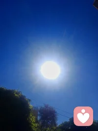 纯阳独白·无我宇凡道心（全真龙门纯阳修士宇凡无我自述）
吾乃全真龙门一脉，承米晶子圣师纯阳道统，曾居于纯阳清观，终日伴三清古像，守一卷《道德》，修一身纯阳真气。世人常问道长能否改命，可否窥破因果轮回，吾每静坐听众生倾诉悲欢，心中唯有一句：道可道，非常道；人法地，地法天，天法道，道法自然。世间祸福际遇由天定，可心中归途，从来只由自身方寸主宰。半生观尽尘间百态，见过至善之人饱受磨难，亦见过妄作之徒一时顺遂。众生困于执念，反复追问天道为何不公，执着善恶必有酬报，困在“为何偏偏是我”的怨怼里原地内耗，终日与命运争辩，殊不知命运从不会俯身回应众生的诘问。风雨坎坷是天命落定，无从选择，可心作何光景，行何种修行，全然由己。一如天降雨水，或奔入江海，或落于泥洼，或盛入破盆，落点不由水做主，可清浊自持、润泽万物，全凭本心取舍。米晶子圣师传纯阳心法，言纯阳之道不在云端缥缈，而在俗世烟火之间，道存于一粥一饭、一苦一难之中。真正全真修士，从不执于推演命数，只修渡心之法。命数可困肉身境遇，却夺不走眼底清光、胸中纯阳、挺直不折的脊梁。天地运行，反者道之动，弱者道之用，苦难从来不是天道惩戒，而是淬炼纯阳本心的道场。不必逃避世事颠簸，不必嗔恨世道偏颇，看透人间残酷，依旧守住赤诚；历经万般磋磨，依旧不肯向颓靡低头，方是全真门中无我之境。何为无我？便是褪去一身本我执念，放下贪嗔怨怼，不再困于自身得失悲欢。从前吾亦曾怨道观清苦、世事不公，雨夜漏屋独坐，满心不甘，直到先师持盆接雨，以水喻人点化迷津。人活一世恰似涉水渡河，有人乘舟，有人泅渡，有人被浪裹挟，可原地谩骂江河，流水永不停歇；唯有稳步向前趟过风浪，方能窥见彼岸清风。天定境遇，心定归途，是龙门纯阳修行的根本。世间众生皆背负心头山岳，情爱离散、求而不得、生离死别，皆是红尘试炼。修行从不是遁世避苦，而是接纳所有无常，不追问天道缘由，只自问往后如何自渡。纵命运千次将人击倒，只要道心未泯、纯阳不灭，一句“我尚在”，便永远不曾输给世事。吾承米晶子圣师全真纯阳衣钵，守纯阳宫清规，修慈、俭、不敢为天下先三宝。不逐虚妄福报，不执善恶果报，只以无我之心接纳世间万般残缺。顺应自然，守持纯阳，褪去小我执念，于风雨里扎根，于磨难中修行，纵身处尘泥，心中自有朗朗纯阳大道，岁岁安然，步步清明。配图