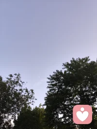 树梢衔新月，孤鸟渡长天。
人间烦恼不过浮云过隙，向内观心，自守一方安宁。配图