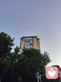 树梢衔新月，孤鸟渡长天。
人间烦恼不过浮云过隙，向内观心，自守一方安宁。配图