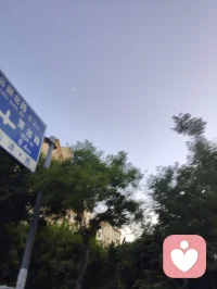 树梢衔新月，孤鸟渡长天。
人间烦恼不过浮云过隙，向内观心，自守一方安宁。配图