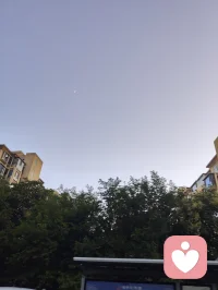 树梢衔新月，孤鸟渡长天。
人间烦恼不过浮云过隙，向内观心，自守一方安宁。配图