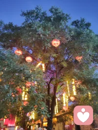 人生得意须尽欢，吃喝玩乐笑对月。
失意何妨酌清酒，千帆过后自安然。配图