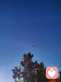 杨柳青夜空星月相伴，无人机穿梭暮色舒展心绪。抬眼邂逅温柔晚风，辽阔天际抚平内心焦躁，天地光景皆是心灵解药。配图
