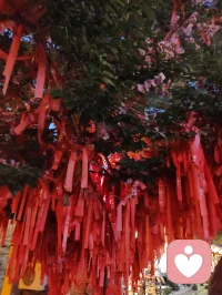 柳青灯树祈福赋！
 
津门杨柳青古陌，夜色垂空，长衢铺锦。千树缀灯，繁光错落，朱红祈愿绦带缠枝，彩盏玲珑悬于枝杪，流辉漫染青砖巷陌。
 
瞻彼嘉树，枝分万缕，一绳一笺，皆藏游人寸心。朱帛垂垂，书世间期许；花灯灼灼，映眼底温柔。往来行客驻足瞻望，或抬眸轻诉心事，或静立安敛愁怀。平日缠身之焦虑、郁结于心之烦忧，遇此满树柔光，皆徐徐消融。
 
树承人间万般祈愿，灯载众生细碎温柔。不必求仙问道以解心扰，只凭一巷灯火、满枝祈语，便可抚慰浮躁灵魂。光影流转之间，人心自归平和；红绦轻摇之际，执念渐作轻烟。
 
儒者观此，知寻常烟火最能安身；道者观此，悟心绪当如灯影舒展；释者观此，明接纳自身烦忧便是解脱。如柳七流连市井，不困于俗世桎梏，乐于观览人间烟火温柔，以平和之心接纳众生心事，以眼底温柔传递治愈力量。
 
灯树无言，却收纳万千心绪；古巷无声，可容纳所有悲欢。人立光下，与满枝期许对望，方知治愈从来不在远途，只在眼前这一片人间暖色。愿执灯树下之人，皆可卸下心头重担，存一份松弛自在，携一身清宁归途，岁岁常安，万事纾怀。配图