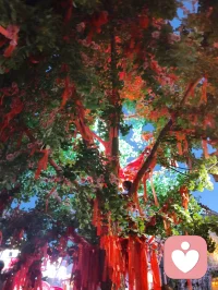 柳青灯树祈福赋！
 
津门杨柳青古陌，夜色垂空，长衢铺锦。千树缀灯，繁光错落，朱红祈愿绦带缠枝，彩盏玲珑悬于枝杪，流辉漫染青砖巷陌。
 
瞻彼嘉树，枝分万缕，一绳一笺，皆藏游人寸心。朱帛垂垂，书世间期许；花灯灼灼，映眼底温柔。往来行客驻足瞻望，或抬眸轻诉心事，或静立安敛愁怀。平日缠身之焦虑、郁结于心之烦忧，遇此满树柔光，皆徐徐消融。
 
树承人间万般祈愿，灯载众生细碎温柔。不必求仙问道以解心扰，只凭一巷灯火、满枝祈语，便可抚慰浮躁灵魂。光影流转之间，人心自归平和；红绦轻摇之际，执念渐作轻烟。
 
儒者观此，知寻常烟火最能安身；道者观此，悟心绪当如灯影舒展；释者观此，明接纳自身烦忧便是解脱。如柳七流连市井，不困于俗世桎梏，乐于观览人间烟火温柔，以平和之心接纳众生心事，以眼底温柔传递治愈力量。
 
灯树无言，却收纳万千心绪；古巷无声，可容纳所有悲欢。人立光下，与满枝期许对望，方知治愈从来不在远途，只在眼前这一片人间暖色。愿执灯树下之人，皆可卸下心头重担，存一份松弛自在，携一身清宁归途，岁岁常安，万事纾怀。配图