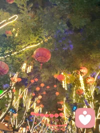 柳青灯树祈福赋！
 
津门杨柳青古陌，夜色垂空，长衢铺锦。千树缀灯，繁光错落，朱红祈愿绦带缠枝，彩盏玲珑悬于枝杪，流辉漫染青砖巷陌。
 
瞻彼嘉树，枝分万缕，一绳一笺，皆藏游人寸心。朱帛垂垂，书世间期许；花灯灼灼，映眼底温柔。往来行客驻足瞻望，或抬眸轻诉心事，或静立安敛愁怀。平日缠身之焦虑、郁结于心之烦忧，遇此满树柔光，皆徐徐消融。
 
树承人间万般祈愿，灯载众生细碎温柔。不必求仙问道以解心扰，只凭一巷灯火、满枝祈语，便可抚慰浮躁灵魂。光影流转之间，人心自归平和；红绦轻摇之际，执念渐作轻烟。
 
儒者观此，知寻常烟火最能安身；道者观此，悟心绪当如灯影舒展；释者观此，明接纳自身烦忧便是解脱。如柳七流连市井，不困于俗世桎梏，乐于观览人间烟火温柔，以平和之心接纳众生心事，以眼底温柔传递治愈力量。
 
灯树无言，却收纳万千心绪；古巷无声，可容纳所有悲欢。人立光下，与满枝期许对望，方知治愈从来不在远途，只在眼前这一片人间暖色。愿执灯树下之人，皆可卸下心头重担，存一份松弛自在，携一身清宁归途，岁岁常安，万事纾怀。配图