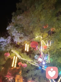 柳青灯树祈福赋！
 
津门杨柳青古陌，夜色垂空，长衢铺锦。千树缀灯，繁光错落，朱红祈愿绦带缠枝，彩盏玲珑悬于枝杪，流辉漫染青砖巷陌。
 
瞻彼嘉树，枝分万缕，一绳一笺，皆藏游人寸心。朱帛垂垂，书世间期许；花灯灼灼，映眼底温柔。往来行客驻足瞻望，或抬眸轻诉心事，或静立安敛愁怀。平日缠身之焦虑、郁结于心之烦忧，遇此满树柔光，皆徐徐消融。
 
树承人间万般祈愿，灯载众生细碎温柔。不必求仙问道以解心扰，只凭一巷灯火、满枝祈语，便可抚慰浮躁灵魂。光影流转之间，人心自归平和；红绦轻摇之际，执念渐作轻烟。
 
儒者观此，知寻常烟火最能安身；道者观此，悟心绪当如灯影舒展；释者观此，明接纳自身烦忧便是解脱。如柳七流连市井，不困于俗世桎梏，乐于观览人间烟火温柔，以平和之心接纳众生心事，以眼底温柔传递治愈力量。
 
灯树无言，却收纳万千心绪；古巷无声，可容纳所有悲欢。人立光下，与满枝期许对望，方知治愈从来不在远途，只在眼前这一片人间暖色。愿执灯树下之人，皆可卸下心头重担，存一份松弛自在，携一身清宁归途，岁岁常安，万事纾怀。配图