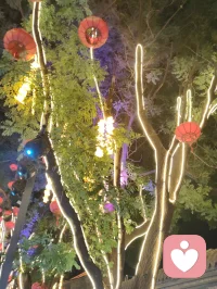 柳青灯树祈福赋！
 
津门杨柳青古陌，夜色垂空，长衢铺锦。千树缀灯，繁光错落，朱红祈愿绦带缠枝，彩盏玲珑悬于枝杪，流辉漫染青砖巷陌。
 
瞻彼嘉树，枝分万缕，一绳一笺，皆藏游人寸心。朱帛垂垂，书世间期许；花灯灼灼，映眼底温柔。往来行客驻足瞻望，或抬眸轻诉心事，或静立安敛愁怀。平日缠身之焦虑、郁结于心之烦忧，遇此满树柔光，皆徐徐消融。
 
树承人间万般祈愿，灯载众生细碎温柔。不必求仙问道以解心扰，只凭一巷灯火、满枝祈语，便可抚慰浮躁灵魂。光影流转之间，人心自归平和；红绦轻摇之际，执念渐作轻烟。
 
儒者观此，知寻常烟火最能安身；道者观此，悟心绪当如灯影舒展；释者观此，明接纳自身烦忧便是解脱。如柳七流连市井，不困于俗世桎梏，乐于观览人间烟火温柔，以平和之心接纳众生心事，以眼底温柔传递治愈力量。
 
灯树无言，却收纳万千心绪；古巷无声，可容纳所有悲欢。人立光下，与满枝期许对望，方知治愈从来不在远途，只在眼前这一片人间暖色。愿执灯树下之人，皆可卸下心头重担，存一份松弛自在，携一身清宁归途，岁岁常安，万事纾怀。配图