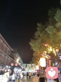 柳青灯树祈福赋！
 
津门杨柳青古陌，夜色垂空，长衢铺锦。千树缀灯，繁光错落，朱红祈愿绦带缠枝，彩盏玲珑悬于枝杪，流辉漫染青砖巷陌。
 
瞻彼嘉树，枝分万缕，一绳一笺，皆藏游人寸心。朱帛垂垂，书世间期许；花灯灼灼，映眼底温柔。往来行客驻足瞻望，或抬眸轻诉心事，或静立安敛愁怀。平日缠身之焦虑、郁结于心之烦忧，遇此满树柔光，皆徐徐消融。
 
树承人间万般祈愿，灯载众生细碎温柔。不必求仙问道以解心扰，只凭一巷灯火、满枝祈语，便可抚慰浮躁灵魂。光影流转之间，人心自归平和；红绦轻摇之际，执念渐作轻烟。
 
儒者观此，知寻常烟火最能安身；道者观此，悟心绪当如灯影舒展；释者观此，明接纳自身烦忧便是解脱。如柳七流连市井，不困于俗世桎梏，乐于观览人间烟火温柔，以平和之心接纳众生心事，以眼底温柔传递治愈力量。
 
灯树无言，却收纳万千心绪；古巷无声，可容纳所有悲欢。人立光下，与满枝期许对望，方知治愈从来不在远途，只在眼前这一片人间暖色。愿执灯树下之人，皆可卸下心头重担，存一份松弛自在，携一身清宁归途，岁岁常安，万事纾怀。配图