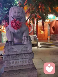 杨柳青阁香庙夜色沉静，彩檐石狮、香火古殿自成一方安稳场域。心理学中，环境的厚重仪式感能锚定涣散心绪，消解内心内耗。世人携迷茫前来，借古寺氛围梳理杂念，不必执着求福，仅静坐观灯，便可与自我和解，千年古建，是天然治愈心灵的空间。配图