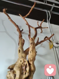 津门巷间陈列各式民间艺术品，浓墨年画、天然根雕、温婉泥塑错落相映。从匠人手底生出的风物，承载本土文化记忆。心理学中，接触熟悉的民俗审美能激活内心安全感，冲淡浮躁焦虑。质朴手作不带功利，以纯粹美学包容人心疲惫，静静观赏间，纷乱思绪慢慢归于平和。配图