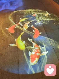 青石板铺展流动光影，游鱼逐光、莲荷静绽，立体彩蝶灯栖于巷侧。心理学提出，动态柔和的视觉画面可分散精神焦虑，使人从繁杂思绪抽离。缓步踏过流光，视线随锦鲤轻游，紧绷心绪慢慢松弛，虚实相融的夜景，成为治愈心灵的温柔容器。配图