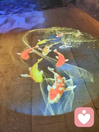 青石板铺展流动光影，游鱼逐光、莲荷静绽，立体彩蝶灯栖于巷侧。心理学提出，动态柔和的视觉画面可分散精神焦虑，使人从繁杂思绪抽离。缓步踏过流光，视线随锦鲤轻游，紧绷心绪慢慢松弛，虚实相融的夜景，成为治愈心灵的温柔容器。配图