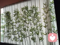 《宇凡津门黔姝渡缘赋》
 
余将辞津沽之津渡，返漠北之穹荒。策尘途以问道，寄行藏于八荒。值午炊之暇晷，步市井而徜徉。忽逢黔岭之淑媛，托生涯于庖堂。
四顾楹闲，宾筵寥落；四壁清寥，财气微茫。瞻彼佳人，秉黔山璞质，含云水柔肠。悯其尘途蹇滞，困于市井一方。
夫大道不隐于嵩岳，真修不离于灶梁。红尘即道场，凡缘皆可匡。余布乾坤纳气之局，斡旋阴阳盈虚之章，借天地造化之力，扶微肆以启隆昌。
伊人感此玄恩，置觞相邀，订佳筵以相将。适逢父亲节令，欲借杯盏，以启稚辈伦常。
巍哉父爱，若崇岳镇地，担岁月风霜；澹哉母慈，若清川流江，润稚子灵光。山水相萦，家道方昌；亲慈子敬，双向相将。人伦和合，本是俗世玄黄，天地修行之纲。
 如期莅肆，景物殊常。昔日萧条之宇，今车马络绎而熙攘。黔姝见余而至，展眉粲然，叩问布局玄方。既纳至道之策，门庭日盛，利禄绵长。
乃荐山海珍馐，奉殷勤之礼，赠冰酪之甘浆。余引诸甥，论华夏食道，慨题曰：一锅烙万象，把酒凌青云。
把酒纵谈，方知闺中怀丘壑，心念黔土穷苍。开一肆而不忘桑梓，捐微利以济寒门童郎。扬黔州风物于畿辅，举乡邦文脉于四方。居市井之隘隅，怀济世之宏量；操商贾之微业，行菩萨之慈航。斯乃入世真仙，尘间圣王。
宴酣兴尽，将别轩堂。伊人馈柿如意之嘉贶，祈岁岁吉康。余揖而答曰：善根深植，商祚永昌，天心眷善，神佛护祥。目送满堂熙攘，烟火腾扬，一缘得渡，心自旷朗。
观斯一席之遇，三重渡化昭彰：解凡夫生计之厄，是为身渡；启仁者济世之心，是为心渡；传后辈人伦至理，是为道渡。
天地漫漫，凡尘万象，举凡微善，皆合穹苍。不必遁迹空山，闭关炼阳；但于烟火世间，广结善缘，扶危开悟，便是大道昭彰。
愿此渡缘佳话，随海河而流长；愿入世行道之旨，历千秋而未央。配图