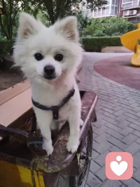 教育的本质不是装满一个篮子，而是点亮一盏灯。精神领袖型的父母给予孩子的是：面对苦难的从容心、看向未来的希望感、扛起责任的铁肩膀，不卑不亢的平常心，培养孩子向内扎根的无价资产。向阳而生🌻逐光而行。配图