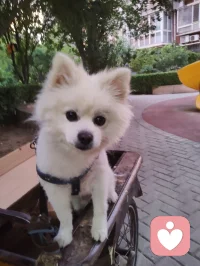 教育的本质不是装满一个篮子，而是点亮一盏灯。精神领袖型的父母给予孩子的是：面对苦难的从容心、看向未来的希望感、扛起责任的铁肩膀，不卑不亢的平常心，培养孩子向内扎根的无价资产。向阳而生🌻逐光而行。配图