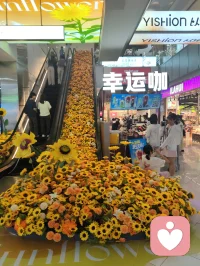 教育的本质不是装满一个篮子，而是点亮一盏灯。精神领袖型的父母给予孩子的是：面对苦难的从容心、看向未来的希望感、扛起责任的铁肩膀，不卑不亢的平常心，培养孩子向内扎根的无价资产。向阳而生🌻逐光而行。配图