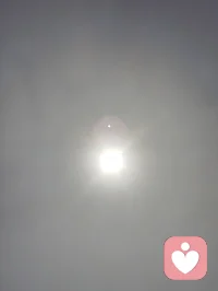 宇凡红尘全真心悟｜以日光证本心！
 
天地悬日，人人心底自有一轮纯阳明光。
世人皆谓修行当隐于深山，避绝尘缘，余三十余载红尘炼心方悟：市井烟火，才是全真第一鼎炉。
情爱纠葛、人际是非、得失荣辱，皆为磨心砺石；焦虑内耗、执念贪嗔，尽是照见本性明镜。所谓全真，全自身本真，不逃苦难，不避情缘，于万般拉扯里守住一点先天清光。
杂念如薄雾遮日，不必强斩，只需静观不随；情缘乃借假修真道场，相逢不必痴缠，别离无需生怨。向外求索，心永漂泊；向内观照，自性长明。
修纯阳以固气血，观本心以净神魂，不争谤誉，不执悲欢。顺境守谦卑，困厄持静定，寻常一呼一吸，皆是证道功课。
大道至简，唯有向阳而生。心中存光，则万般心魔皆可渡；心藏正道，人间烟火尽是洞天。
不必远寻仙山，此生红尘，便是渡己渡人之道场。
愿同修皆能拂去心头尘雾，照见自身万古长明之日。配图