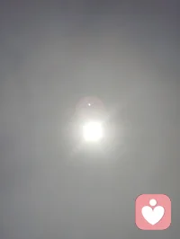 宇凡红尘全真心悟｜以日光证本心！
 
天地悬日，人人心底自有一轮纯阳明光。
世人皆谓修行当隐于深山，避绝尘缘，余三十余载红尘炼心方悟：市井烟火，才是全真第一鼎炉。
情爱纠葛、人际是非、得失荣辱，皆为磨心砺石；焦虑内耗、执念贪嗔，尽是照见本性明镜。所谓全真，全自身本真，不逃苦难，不避情缘，于万般拉扯里守住一点先天清光。
杂念如薄雾遮日，不必强斩，只需静观不随；情缘乃借假修真道场，相逢不必痴缠，别离无需生怨。向外求索，心永漂泊；向内观照，自性长明。
修纯阳以固气血，观本心以净神魂，不争谤誉，不执悲欢。顺境守谦卑，困厄持静定，寻常一呼一吸，皆是证道功课。
大道至简，唯有向阳而生。心中存光，则万般心魔皆可渡；心藏正道，人间烟火尽是洞天。
不必远寻仙山，此生红尘，便是渡己渡人之道场。
愿同修皆能拂去心头尘雾，照见自身万古长明之日。配图