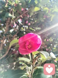 宇凡三我，本我少年，真我佛子，无我道士！那个我都是心怀光明而赤诚如阳的红尘全真修士宇凡！配图