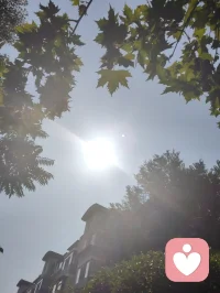 《宇凡玄音诊脉记》
 
古之医者，切寸关尺，只疗血肉皮囊微疾；今之玄修，听天地元脉，直断神魂因果根源。
 
凡夫行医，见痛医痛、见病治病，只愈其身；大士观世，透相观心、闻声见性，直渡其魂。余修宇凡玄音听脉之道，不观容貌、不问苦悲、不聆俗诉，唯以道炁共振，听音定根、察脉知念。
 
世人万千疾苦，不在经络，不在脏腑。
百病由心生，万苦由执起。
 
今日静坐玄坛，三客登门问道，三脉异象，尽露红尘万世迷障通病。
 
首客脉炁飘摇涣散，元神浮游无根，如残烛临风，心神终日不安。此非肉身之病，乃执念缠身、责枷困神之苦。世人以负重为德，以操劳为责，殊不知过度牵挂、万般羁绊，最耗先天真元。身担俗世之任，心困自我之执，久久心神耗散、道炁不凝。所幸其本源未破、道根犹在，只是红尘乱象扰其清宁。
余以玄音定心归窍，授其真诀：入世可承担当，出世必守本心。负重不耗神，任事不执相，方是红尘全真大道。
 
次客丹田脉空，灵炁疏淡，形似历劫破功、气运折损。然其脉底沉稳刚毅，道心岿然未倒。凡人遇挫即颓、逢劫生怨，困于得失，堕于低谷；真修之士，以劫难炼性，以沉浮固道。天道盈亏往复，盛衰本是寻常，外在损耗皆是打磨心性之机缘。
一念道心不灭，万古道基可重修。此番洗炼过后，其炁脉必更纯粹，道心必更坚稳。
 
末客脉象最为虚妄颠倒，外浮燥热浮阳，内锁沉寒阴结。阳散于外，则真阳失守；阴凝于内，则根本亏虚。世人多惑体感假象，身觉燥热便纵欲贪凉、顺情逐快，只顾一时舒畅，暗积一世病根。
肉身风寒可药石根除，人心贪妄却无凡药可医。一切身疾表象，皆源自执念虚妄之根深种。
 
一日三诊，三般境遇，尽是众生同迷。
 
天下苍生疾苦，逃不过三执：执责、执败、执相。
肉身小疾，汤药可愈；神魂大惑，唯道可破。
 
所谓玄音诊脉，非术技之巧，乃渡世之道。
以道眼照破人间虚妄，以玄音震醒沉迷本心。
听诊万象，看透浮沉，度一迷、破一执、明一理。
 
身在红尘，心栖混元。
不炫神通，不争高下。
默默听诊人间，静静渡化众生。
此乃宇凡道宗，红尘真修，济世真章。配图