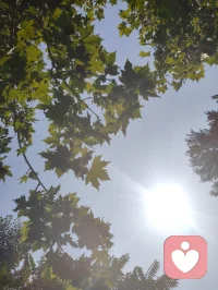 《一通玄》宇凡云游山河天地彩云间！
混元无别，大道唯一。天地万象，万千悲欢，皆从一炁分流，阴阳双生而来。世人畏苦执相，争对错、分你我，终生困于二元牢笼，沉沦红尘虚妄，却不知对立是众生执念，同源是天地本来真相。
 
老子云：道生一，一生二。所谓阴阳双生，绝非两分相克，乃是一体自衡。本源圆满无缺，只因人心妄起分别、念生取舍，遂分化动静、虚实、得失、悲欢诸相。万物看似两两割裂、各行其途，实则根脉相连、炁息互通，自混沌开天以来，从未有分毫断绝。天地相照、日月相循、寒暑相济，皆是大道双生平衡的显化。
 
世间一切煎熬纷争，皆因愚者执二忘一。见刚便斥柔，得顺便惧失，相聚便忧别离，终日在二元对立中自我桎梏、自我耗损。孤阳不生，独阴不长，偏执一端便是背离道体，故而众生浮沉苦海，被虚妄表象玩弄一生，看不见苦难的根本来由。
 
唯有大醒者俯瞰尘寰，不落两边，不立对错。一眼勘破双生是道之运化，对立是心造幻相。纵山海远隔，众生亦是同源一炁；纵境遇悬殊，悲欢亦是一体分流。世人以为彼此相争、互为阻碍，实则阴阳互补、相互成全，人人皆为彼此渡化之缘，万物无一无合于道。
 
寻常修士只求避苦安身，独守方寸清净；大士修行不避万象纷扰，于二元乱象里稳持混元本心。不拒世间所有对立表象，只守内在不变真一，看破苦乐同根、祸福同源，方能不起嗔痴，不起取舍。
 
所谓一通玄，一通则万妄皆碎，一正则万邪自消，守一则万物归宗。悟透阴阳一体双生之玄理，便知渡人即是渡己，悯众生即是悯自身。以一心通明照破万世迷障，以一念归元化解千秋虚妄，身在红尘，心合大道，自能开迷渡世，行人间无上真修。配图