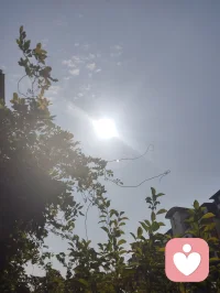 《一通玄》宇凡云游山河天地彩云间！
混元无别，大道唯一。天地万象，万千悲欢，皆从一炁分流，阴阳双生而来。世人畏苦执相，争对错、分你我，终生困于二元牢笼，沉沦红尘虚妄，却不知对立是众生执念，同源是天地本来真相。
 
老子云：道生一，一生二。所谓阴阳双生，绝非两分相克，乃是一体自衡。本源圆满无缺，只因人心妄起分别、念生取舍，遂分化动静、虚实、得失、悲欢诸相。万物看似两两割裂、各行其途，实则根脉相连、炁息互通，自混沌开天以来，从未有分毫断绝。天地相照、日月相循、寒暑相济，皆是大道双生平衡的显化。
 
世间一切煎熬纷争，皆因愚者执二忘一。见刚便斥柔，得顺便惧失，相聚便忧别离，终日在二元对立中自我桎梏、自我耗损。孤阳不生，独阴不长，偏执一端便是背离道体，故而众生浮沉苦海，被虚妄表象玩弄一生，看不见苦难的根本来由。
 
唯有大醒者俯瞰尘寰，不落两边，不立对错。一眼勘破双生是道之运化，对立是心造幻相。纵山海远隔，众生亦是同源一炁；纵境遇悬殊，悲欢亦是一体分流。世人以为彼此相争、互为阻碍，实则阴阳互补、相互成全，人人皆为彼此渡化之缘，万物无一无合于道。
 
寻常修士只求避苦安身，独守方寸清净；大士修行不避万象纷扰，于二元乱象里稳持混元本心。不拒世间所有对立表象，只守内在不变真一，看破苦乐同根、祸福同源，方能不起嗔痴，不起取舍。
 
所谓一通玄，一通则万妄皆碎，一正则万邪自消，守一则万物归宗。悟透阴阳一体双生之玄理，便知渡人即是渡己，悯众生即是悯自身。以一心通明照破万世迷障，以一念归元化解千秋虚妄，身在红尘，心合大道，自能开迷渡世，行人间无上真修。配图
