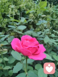 宇凡金钱道-金钱趣咏。
 
钱通天地，流转玄机。
男撑脊梁，女安身基。
见财如遇，绝色良姿。
坦谈银帛，何需愧辞。
爱财有度，不陷贪痴。
财由心修，自赴怀栖。
人嘲吾抠，未解修持。
追师弘一，律戒自持。
善生财利，不恋奢糜。
创收济世，大道如斯。配图
