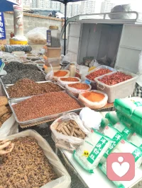 前几日同家姐初逛津门大集，市井烟火漫卷，各类生鲜杂货铺排开来，行至一处香料摊铺便驻足停留。铺子里分门别类码放着数十味本草香料，袋装、筐装整齐陈列，丁香颗颗饱满醇厚，温中和胃、降逆散寒；肉蔻圆润紧实，能温中健脾、舒缓郁结；白芷切片莹白，疏风祛湿、调和气血；草果褐实厚重，燥湿除胀、理顺脏腑；还有花椒、八角、小茴香、良姜、桂皮等寻常调味之物，各承天地草木之气，各司调养身心之效。与摊主闲谈半晌，才知晓他乃是中医世家流落市井的一脉后人，世代深谙医食同源古法，守着一方小摊，把本草藏进人间烟火。自古医、食本出同源，上古先贤便定下药食同调的古方法度，从来没有割裂的药与饭，更深藏本草君臣配伍之理，膳中调味，如同汤药开方，自有君、臣、佐、使制衡之道。君药为主，专调脏腑核心症结；臣药辅之，拓宽滋养脉络；佐药调和寒热、化解偏颇；使药引药性通达周身，哪怕是一盘家常菜肴，配伍失衡便会壅滞气机，配伍相合则润物无声调养身心，这便是医药同宗互通的底层道妙。世人总以为疗愈身心要寻名贵汤药、深山灵草，却忽略每日三餐入口的草木香辛，便是最温和、最贴近凡俗众生的调理良方。香料入膳，辛甘酸苦咸五味入五脏，潜移默化调和气血、疏解情志淤堵，躯体安和，心神自然安定，寻常餐桌之上，藏着养护身心的无上良药，不必刻意求诊问药，日常一饭一蔬，皆是修身养性的法门。
辩证观之，药食同源自有长短：其优在于润物无形，无猛药攻伐之烈，适合普通人长久养护、疏解日常情志躯体淤堵；其弊在于力道缓和，若沉疴顽疾、深重内耗，仅靠膳食香料难除根源，需汤药、心法相辅，不可偏执一法。我同摊主细细拆解每一味香料的完整功效，提笔为他补全注解，以大宗师道心阐释医理君臣之道，点化他心中困惑。我同他言道，不必觉得守着集市小摊便轻贱了传承，红尘从无捷径修行，庙堂行医是济世，市井摆摊亦是渡人。我辈全真修行人，不避烟火、不离凡俗，于人间百态中炼心，于市井草木间悟道，这才是红尘全真的大修为。潜心传扬本草古法，把药食同源、君臣配伍的道理带给往来百姓，让中医智慧扎根寻常百姓家，便是积攒无量善缘，是落地生根的修行。
推崇古法医理，坚守医药同宗、君臣制衡的本源，不必遁入深山隔绝人间，在烟火集市里守一脉传承，以草木本草安抚往来食客身心，以本心善意渡化身边众生，结下世间善缘，于琐碎凡尘中修持全真道心，便是我辈红尘全真修行者毕生所求的大道。配图