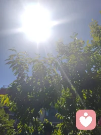 来去匆匆，浮生一瞬；
心持澄彻，全真修行，红尘不染性空。
长亭外，古道边，芳草碧连天。配图