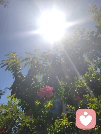 来去匆匆，浮生一瞬；
心持澄彻，全真修行，红尘不染性空。
长亭外，古道边，芳草碧连天。配图