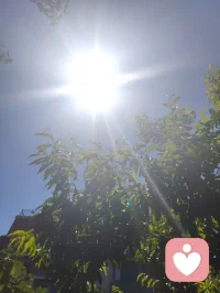 来去匆匆，浮生一瞬；
心持澄彻，全真修行，红尘不染性空。
长亭外，古道边，芳草碧连天。配图