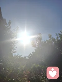 来去匆匆，浮生一瞬；
心持澄彻，全真修行，红尘不染性空。
长亭外，古道边，芳草碧连天。配图