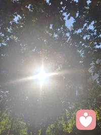 来去匆匆，浮生一瞬；
心持澄彻，全真修行，红尘不染性空。
长亭外，古道边，芳草碧连天。配图