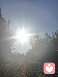 浮生聚散本匆匆，守得灵台一片空。
纵经尘路风霜苦，心随晴日自澄融。
给力心理，向内观心，遇见本真自我。配图