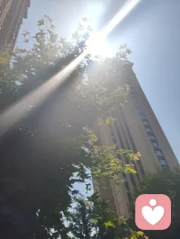 《暗夜寻光》
 
黑暗铺满人间的底色
世人困在焦虑与虚妄里
执迷金银泡影，纠缠万般心结
我名宇凡，道号混混，红尘全真三修客，伴云而行，心怀光明
 
长夜赠予我沉暗的眼眸
不沉溺世间浮华，不贪恋尘间富贵
看透财帛如霜，功名似梦
所有执念，不过一场转瞬大梦
 
以道为炉，以心为容器
容纳众生翻涌的破碎情绪
于喧嚣闹市静坐，在无边暗夜寻光
纵使周遭满是晦暗
仍持一身通透澄澈，渡尽迷途惶惶之人
 
不用山林避世，不必隔绝烟火
眼底藏住儒释道的清净
任凭世事起落，心湖不起波澜
黑暗予我一身沉寂
我便借这双沉眸，为迷茫众生，寻一束长久光亮
