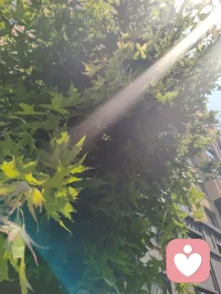 《暗夜寻光》
 
黑暗铺满人间的底色
世人困在焦虑与虚妄里
执迷金银泡影，纠缠万般心结
我名宇凡，道号混混，红尘全真三修客，伴云而行，心怀光明
 
长夜赠予我沉暗的眼眸
不沉溺世间浮华，不贪恋尘间富贵
看透财帛如霜，功名似梦
所有执念，不过一场转瞬大梦
 
以道为炉，以心为容器
容纳众生翻涌的破碎情绪
于喧嚣闹市静坐，在无边暗夜寻光
纵使周遭满是晦暗
仍持一身通透澄澈，渡尽迷途惶惶之人
 
不用山林避世，不必隔绝烟火
眼底藏住儒释道的清净
任凭世事起落，心湖不起波澜
黑暗予我一身沉寂
我便借这双沉眸，为迷茫众生，寻一束长久光亮