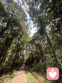 宇凡澄心赴修赋！
 
余久困比昂之考，屡试未谐，俗虑萦怀，躁意潜起。复盘尘途，屡遭榜位起落之憾，复蒙世俗标签之扰，方寸之间波澜频生，方知欲启他人心智，必先澄一己灵台，心基未固，则接引访客之路终多滞碍。由是决意栖禅院三朝，摒市井嚣喧，入清净梵境，敛往日浮嚣之气，深自省察。
 
于古刹幽隅，静翻心理学之典籍，细参比昂配对之玄旨，又融弗洛伊德本我、自我、超我之论，对照宇凡道本我、真我、无我之修义，往复推演，融会贯通。将往日给力课堂所学、情境实操历练所得的种种体悟，一一铺笺梳理，裁去纷乱杂念，化解脑雾纠缠。晨聆清钟涤虑，夜阅经卷宁神，不向外追浮华虚名，独燃自持心灯，不假旁人微光。
 
夫此番修行，非仅汲汲一纸证书。倘得证牒，自是研学硕果；纵使暂未如愿，禅居淬炼出的静定定力，裨益弥深。心若沉厚，往后恪守咨询伦理，善设咨访规制，体察来访者幽微心绪，方可从容渡人。三日光阴，磨去骄躁，筑牢根基。待归返之时，胸蕴新知，志怀笃定，此后行于心理传道之途，步履安稳，清风相伴，以自修所得普惠万千求索之人。
