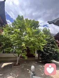 宇凡澄心赴修赋！
 
余久困比昂之考，屡试未谐，俗虑萦怀，躁意潜起。复盘尘途，屡遭榜位起落之憾，复蒙世俗标签之扰，方寸之间波澜频生，方知欲启他人心智，必先澄一己灵台，心基未固，则接引访客之路终多滞碍。由是决意栖禅院三朝，摒市井嚣喧，入清净梵境，敛往日浮嚣之气，深自省察。
 
于古刹幽隅，静翻心理学之典籍，细参比昂配对之玄旨，又融弗洛伊德本我、自我、超我之论，对照宇凡道本我、真我、无我之修义，往复推演，融会贯通。将往日给力课堂所学、情境实操历练所得的种种体悟，一一铺笺梳理，裁去纷乱杂念，化解脑雾纠缠。晨聆清钟涤虑，夜阅经卷宁神，不向外追浮华虚名，独燃自持心灯，不假旁人微光。
 
夫此番修行，非仅汲汲一纸证书。倘得证牒，自是研学硕果；纵使暂未如愿，禅居淬炼出的静定定力，裨益弥深。心若沉厚，往后恪守咨询伦理，善设咨访规制，体察来访者幽微心绪，方可从容渡人。三日光阴，磨去骄躁，筑牢根基。待归返之时，胸蕴新知，志怀笃定，此后行于心理传道之途，步履安稳，清风相伴，以自修所得普惠万千求索之人。